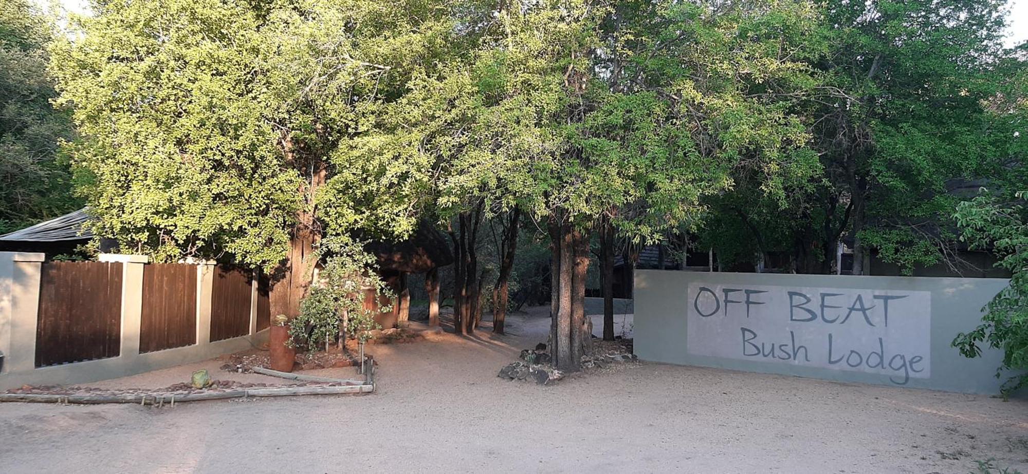 Off Beat Safaris Bush Lodge フッドスプルイト エクステリア 写真
