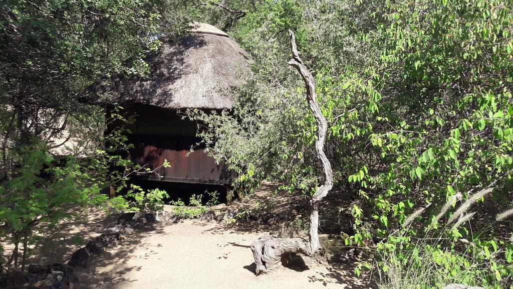 Off Beat Safaris Bush Lodge フッドスプルイト エクステリア 写真