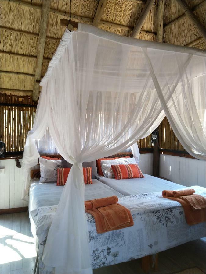 Off Beat Safaris Bush Lodge フッドスプルイト エクステリア 写真