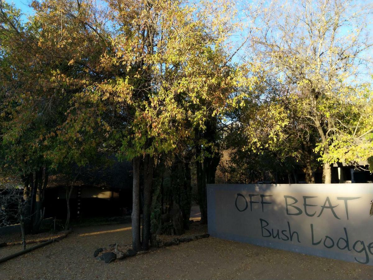 Off Beat Safaris Bush Lodge フッドスプルイト エクステリア 写真