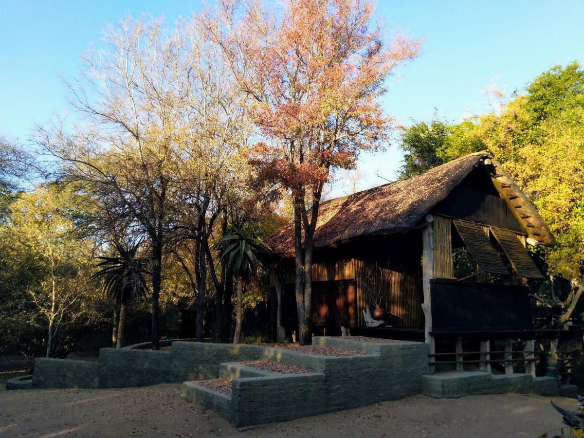 Off Beat Safaris Bush Lodge フッドスプルイト エクステリア 写真