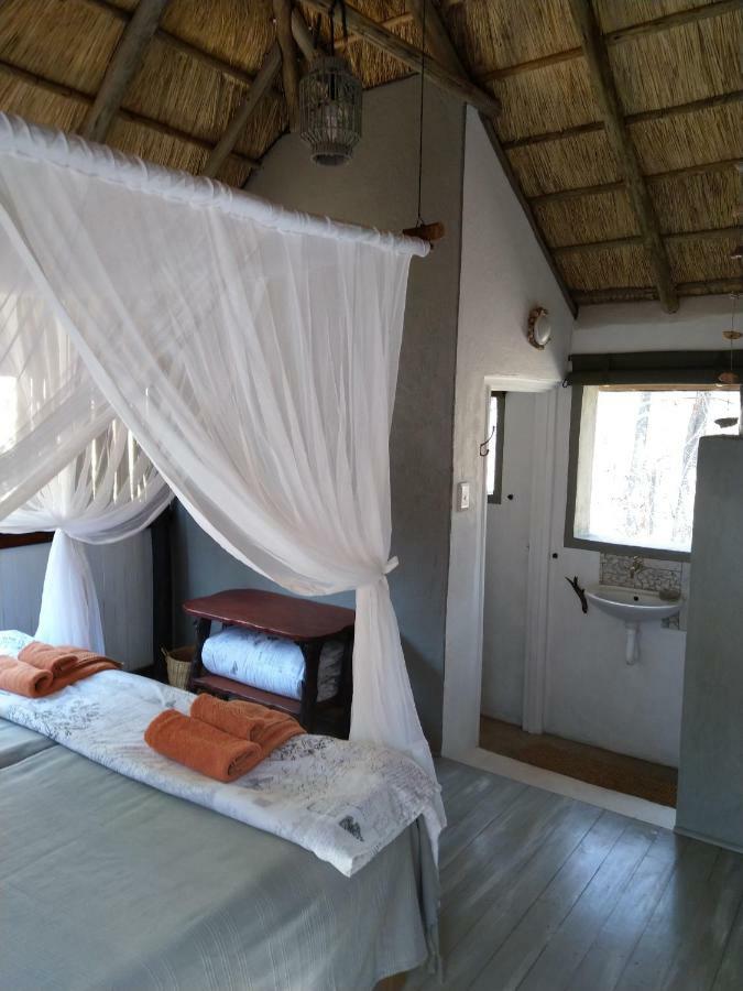 Off Beat Safaris Bush Lodge フッドスプルイト エクステリア 写真